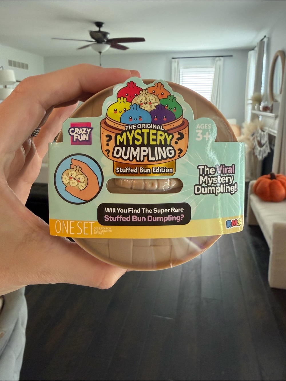 Rare ✨ RMS Mystery Dumpling Stuffed Bun -